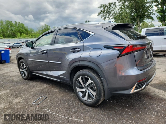 2020 Lexus NX 300h with VIN JTJGJRDZ9L2143138, listed as a Copart auction lot 59030775 with 31,817 mi miles and Salvage title. Bid and sale history available at DreamBid. Image 2.