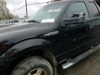 2009 Ford F-150 STX with VIN 1FTRX14849FB10391, listed as a Copart auction lot 51786125 with 263,228 mi miles and Salvage Title. Bid and sale history available at carsss.com. Image 10.