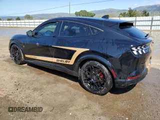 2023 Ford Mustang Mach-E GT with VIN 3FMTK4SE8PMA75216, listed as a Copart auction lot 50100965 with Not Provided miles and Clean Title. Bid and sale history available at DreamBid. Image 2.