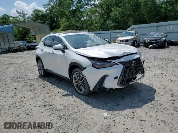 2022 Lexus NX 350 Premium with VIN JTJGGCEZ2N5001032, listed as a Copart auction lot 57630155 with 24,050 mi miles and Salvage title. Bid and sale history available at DreamBid. Image 14.