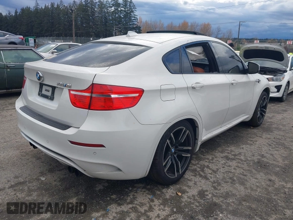 2010 BMW X6 M with VIN 5YMGZ0C52ALK13325, listed as a IAAI auction lot 40819581 with 134,282 mi miles. Bid and sale history available at carsss.com. Image 4.
