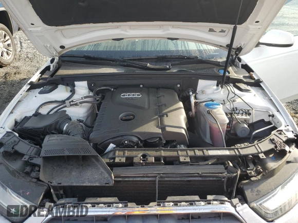 2013 Audi A4 Premium Plus с VIN WAUFFAFL7DN032109, выставлен на аукционе Copart как лот 57031925 с пробегом 79 255 миль миль и Списание • Salvage title. История ставок и продаж доступна на DreamBid. Изображение 12.