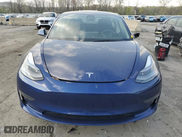 2023 Tesla Model 3 with VIN 5YJ3E1EA0PF550980, listed as a Copart auction lot 53725485 with 23,900 mi miles and Salvage Title. Bid and sale history available at carsss.com. Image 5.