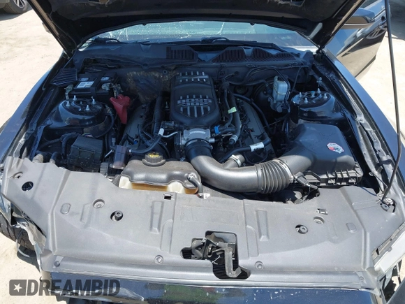 2013 Ford Mustang GT with VIN 1ZVBP8CF1D5232518, listed as a IAAI auction lot 42532816 with 170,412 mi miles and . Bid and sale history available at DreamBid. Image 10.