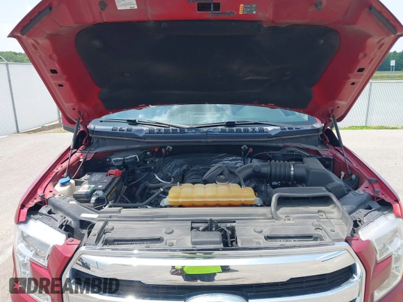 2016 Ford F-150 XLT with VIN 1FTEW1EF5GKD72519, listed as a IAAI auction lot 42353198 with 156,263 mi miles and . Bid and sale history available at DreamBid. Image 10.