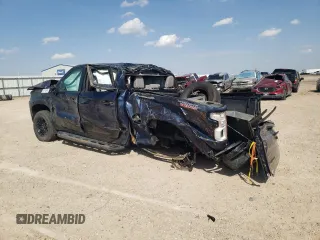 2022 Chevrolet Silverado 1500 LT Trail Boss with VIN 1GCPYFED6NZ124279, listed as a Copart auction lot 50719545 with Not Provided miles and Salvage Title. Bid and sale history available at DreamBid. Image 2.