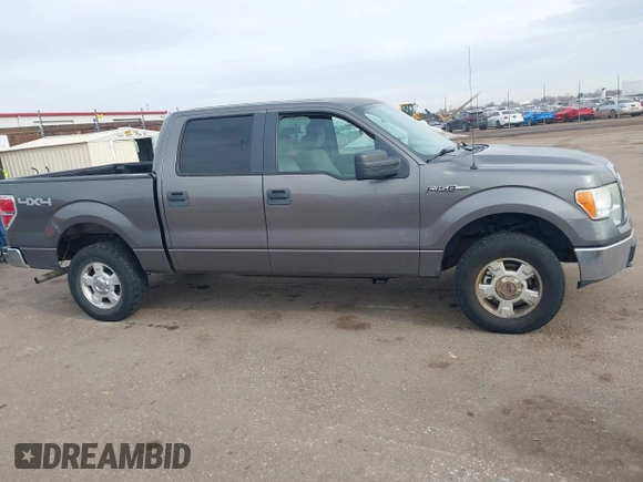 2009 Ford F-150 XL with VIN 1FTPW14V99KC52405, listed as a IAAI auction lot 41510394 with 166,245 mi miles. Bid and sale history available at carsss.com. Image 13.
