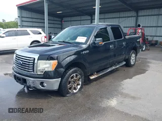 2010 Ford F-150 XL with VIN 1FTFW1EV6AFC64356, listed as a IAAI auction lot 41959894 with 246,154 mi miles and . Bid and sale history available at DreamBid. Image 2.