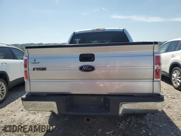 2010 Ford F-150 XL with VIN 1FTEW1C88AFA71473, listed as a Copart auction lot 61420085 with 143,965 mi miles and Salvage title. Bid and sale history available at DreamBid. Image 6.