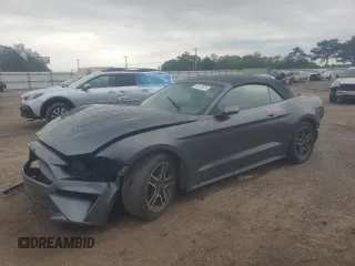 2019 Ford Mustang EcoBoost with VIN 1FATP8UH3K5181663, listed as a Copart auction lot 58815635 with 81,274 mi miles and Non repairable. Bid and sale history available at DreamBid. Image 1.