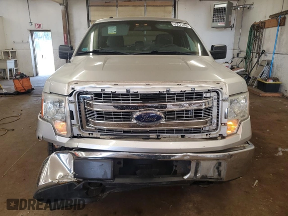 2013 Ford F-150 XL with VIN 1FTFX1EF1DFA81215, listed as a Copart auction lot 63077885 with 300,634 mi miles and Non repairable. Bid and sale history available at DreamBid. Image 5.