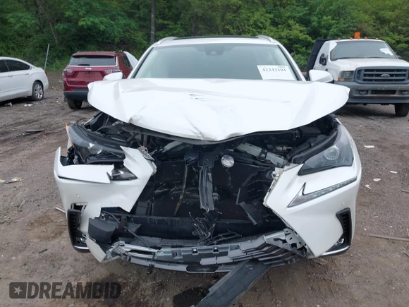 2021 Lexus NX 300 z VIN JTJDARBZ6M5035226, wystawiony jako IAAI lot #42243101 z przebiegiem 18 229 mil mil oraz . Historia ofert i sprzedaży dostępna na DreamBid. Obrazek 6.