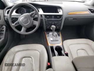 2011 Audi A4 2.0T Premium Plus with VIN WAUEFAFL6BN037696, listed as a Copart auction lot 50828245 with 0 mi miles and Salvage Title. Bid and sale history available at carsss.com. Image 8.