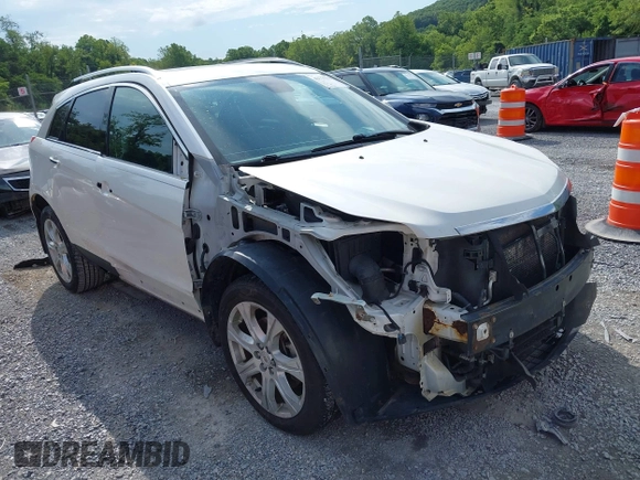 2010 Cadillac SRX Premium Collection with VIN 3GYFNFEY2AS528611, listed as a IAAI auction lot 42770194 with 213,366 mi miles and . Bid and sale history available at DreamBid. Image 1.