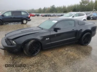 2014 Ford Mustang GT with VIN 1ZVBP8CF1E5332054, listed as a Copart auction lot 80689144 with 79,145 mi miles and Salvage title. Bid and sale history available at DreamBid. Image 1.