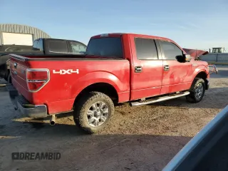 2009 Ford F-150 XL with VIN 1FTRW14849FA05790, listed as a Copart auction lot 87194234 with 212,721 mi miles and Salvage Title. Bid and sale history available at DreamBid. Image 3.