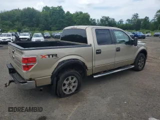 2010 Ford F-150 XL with VIN 1FTEW1E88AFD58115, listed as a Copart auction lot 62996725 with 179,894 mi miles and Clean title. Bid and sale history available at DreamBid. Image 3.