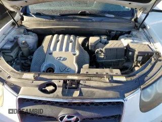 2007 Hyundai Santa Fe GLS z VIN 5NMSG13DX7H065375, wystawiony jako Copart lot #68337973 z przebiegiem 197 147 mil mil oraz Szkoda całkowita • Salvage title. Historia ofert i sprzedaży dostępna na DreamBid. Obrazek 11.