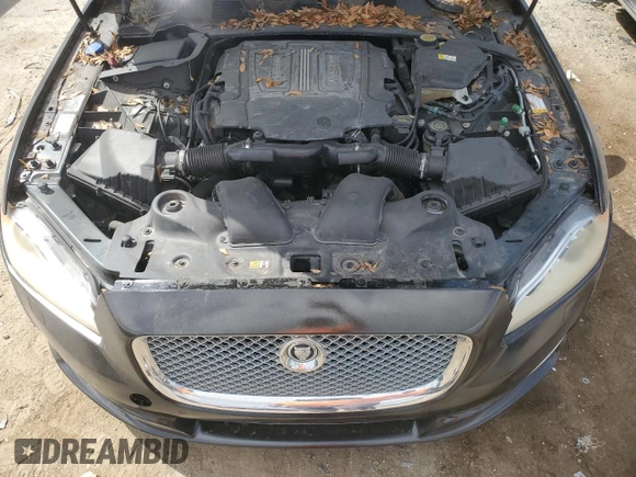 2016 Jaguar XJ Portfolio with VIN SAJWJ2GD5G8V96800, listed as a Copart auction lot 54408145 with 55,835 mi miles and Clean Title. Bid and sale history available at DreamBid. Image 11.