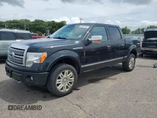 2011 Ford F-150 XL with VIN 1FTFW1EF5BFA13001, listed as a Copart auction lot 60252955 with 290,130 mi miles and Salvage title. Bid and sale history available at DreamBid. Image 1.