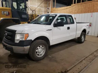 2013 Ford F-150 XL with VIN 1FTFX1EFXDKD55437, listed as a Copart auction lot 64098415 with 272,254 mi miles and Salvage title. Bid and sale history available at DreamBid. Image 1.