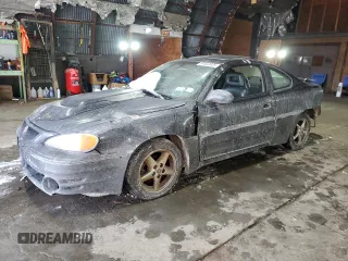 2002 Pontiac Grand Am GT with VIN 1G2NW12E32C315772, listed as a Copart auction lot 87522025 with 176,216 mi miles and Clean Title. Bid and sale history available at carsss.com. Image 1.