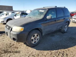 2006 Ford Escape Limited with VIN 1FMYU04196KA34229, listed as a Copart auction lot 46709785 with 203,203 mi miles and Clean Title. Bid and sale history available at carsss.com. Image 1.