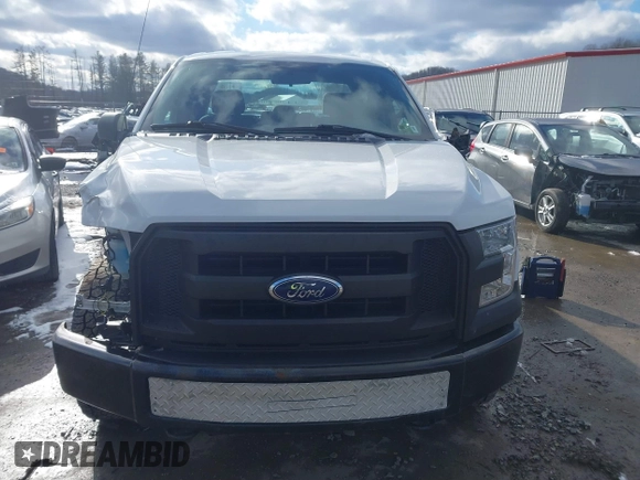 2017 Ford F-150 XL with VIN 1FTFX1EF9HFC85427, listed as a IAAI auction lot 41595903 with 176,235 mi miles. Bid and sale history available at carsss.com. Image 12.