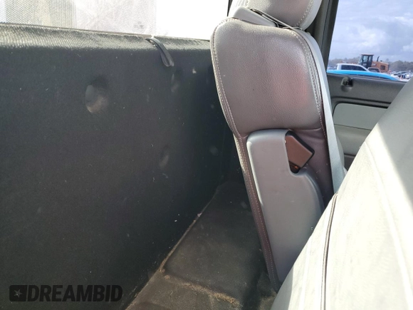 2013 Ford F-150 XL with VIN 1FTMF1EF1DFA51044, listed as a Copart auction lot 79561474 with 191,122 mi miles and Salvage Title. Bid and sale history available at DreamBid. Image 10.