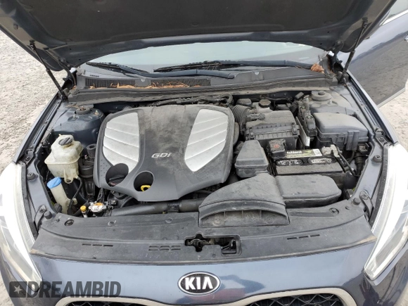 2014 Kia Cadenza Premium with VIN KNALN4D75E5151775, listed as a Copart auction lot 45566005 with 196,311 mi miles and Clean Title. Bid and sale history available at carsss.com. Image 11.