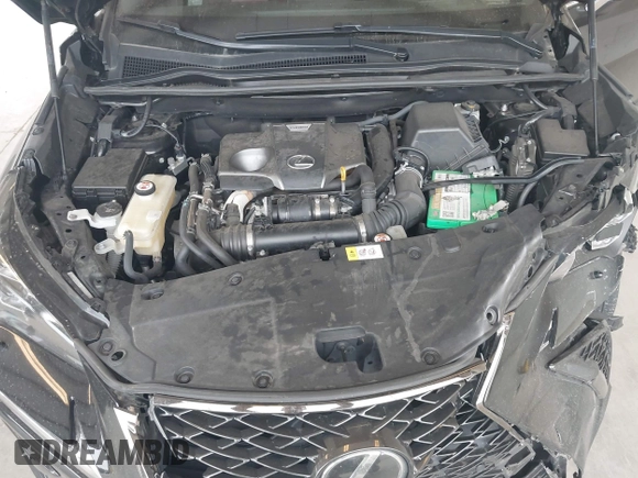 2018 Lexus NX 300 with VIN JTJBARBZ1J2163748, listed as a IAAI auction lot 42703096 with 75,290 mi miles and . Bid and sale history available at DreamBid. Image 10.