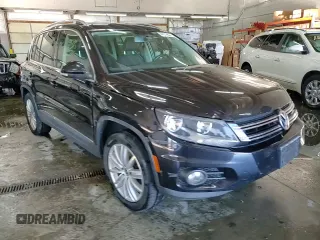 2013 Volkswagen Tiguan SE z VIN WVGBV7AX9DW529234, wystawiony jako Copart lot #41610635 z przebiegiem 130 566 mil mil oraz Szkoda całkowita • Salvage title. Historia ofert i sprzedaży dostępna na DreamBid. Obrazek 14.