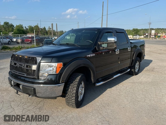 2009 Ford F-150 XL with VIN 1FTRW12889FB24610, listed as a Copart auction lot 62431355 with 254,000 mi miles and Clean title. Bid and sale history available at DreamBid. Image 2.