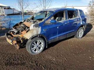 2017 Ford Escape SE with VIN 1FMCU9G93HUD30743, listed as a Copart auction lot 46584995 with Not Provided miles and Non Repairable. Bid and sale history available at carsss.com. Image 1.