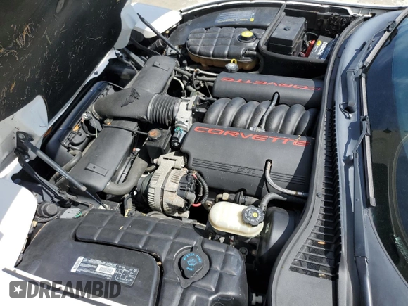 2001 Chevrolet Corvette with VIN 1G1YY32G915114289, listed as a Copart auction lot 73865984 with 0 mi miles and Salvage Title. Bid and sale history available at carsss.com. Image 11.