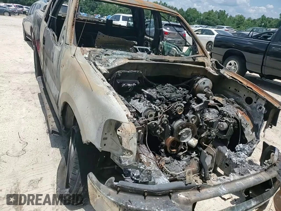 2005 Ford F-150 XLT with VIN 1FTPX12535NB93859, listed as a Copart auction lot 62256325 with Not provided miles and Non repairable. Bid and sale history available at DreamBid. Image 12.