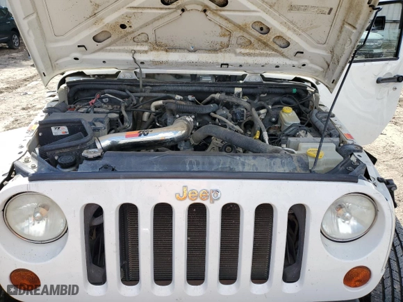 2009 Jeep Wrangler Unlimited X with VIN 1J4GA39109L759665, listed as a Copart auction lot 46796925 with 170,746 mi miles and Clean Title. Bid and sale history available at carsss.com. Image 11.
