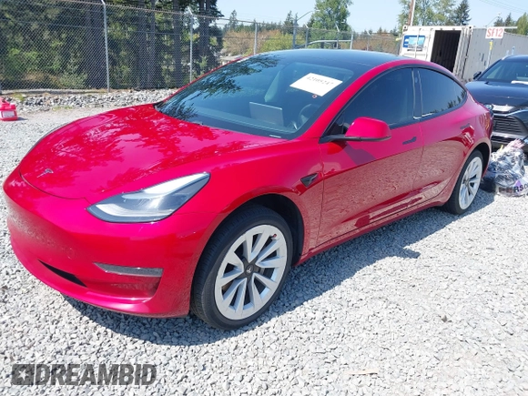 2021 Tesla Model 3 Long Range with VIN 5YJ3E1EB6MF054361, listed as a IAAI auction lot 42105247 with 58,986 mi miles and . Bid and sale history available at carsss.com. Image 19.