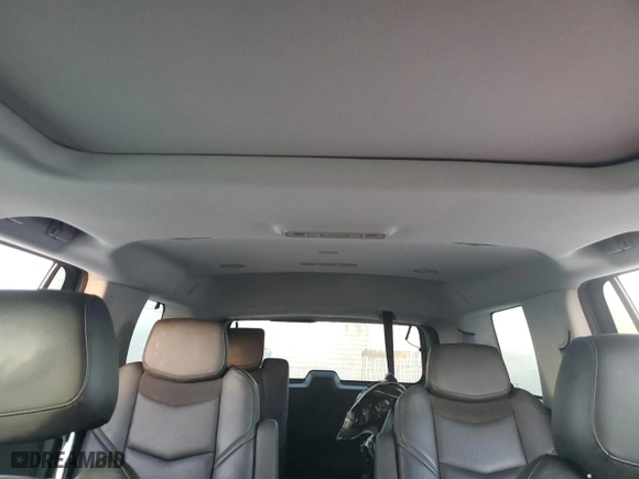 2016 Cadillac Escalade Luxury Collection with VIN 1GYS3BKJ6GR325012, listed as a Copart auction lot 77268684 with 0 mi miles and Salvage Title. Bid and sale history available at carsss.com. Image 10.