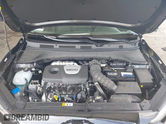 2019 Hyundai Kona Limited with VIN KM8K33A55KU299911, listed as a IAAI auction lot 41933000 with 3,671 mi miles. Bid and sale history available at carsss.com. Image 10.