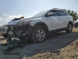 2015 Mazda CX-9 Touring with VIN JM3TB2CA7F0467259, listed as a Copart auction lot 55646055 with Not Provided miles and Clean Title. Bid and sale history available at DreamBid. Image 1.