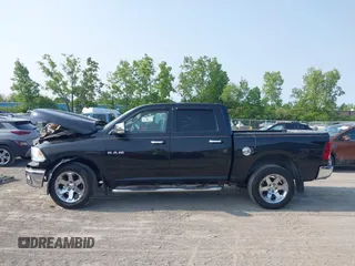 2009 Dodge 1500 SLT с VIN 1D3HV13T39S723883, выставлен на аукционе IAAI как лот 42357664 с пробегом 159 185 миль миль и . История ставок и продаж доступна на DreamBid. Изображение 15.