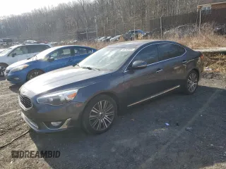 2015 Kia Cadenza Premium with VIN KNALN4D7XF5168637, listed as a Copart auction lot 46753885 with Not Provided miles and Clean Title. Bid and sale history available at carsss.com. Image 1.