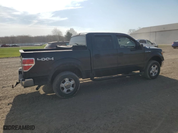 2010 Ford F-150 XL with VIN 1FTEW1E88AFA15255, listed as a Copart auction lot 53680375 with 235,281 mi miles and Clean Title. Bid and sale history available at carsss.com. Image 3.