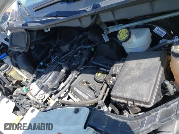 2019 Ford Transit with VIN 1FTYR1YG6KKA40817, listed as a IAAI auction lot 41713021 with 107,919 mi miles and . Bid and sale history available at DreamBid. Image 10.