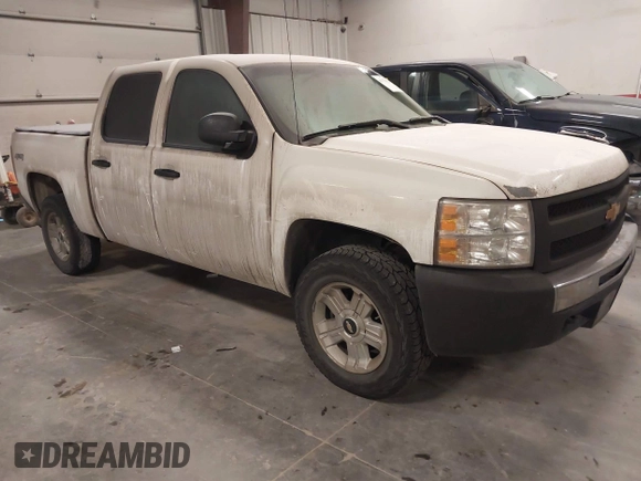 2012 Chevrolet Silverado 1500 with VIN 1GCPKPE71CF144729, listed as a IAAI auction lot 41376121 with 171,921 mi miles and . Bid and sale history available at DreamBid. Image 1.