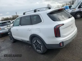 2024 Kia Telluride EX with VIN 5XYP3DGC2RG451676, listed as a Copart auction lot 46161785 with 19,793 mi miles and Salvage Title. Bid and sale history available at carsss.com. Image 2.
