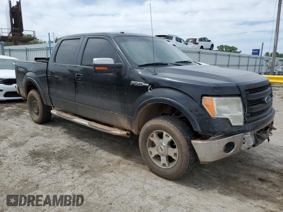 2009 Ford F-150 XL with VIN 1FTPW14V69FB18458, listed as a Copart auction lot 55684195 with 338,034 mi miles and Salvage title. Bid and sale history available at DreamBid. Image 4.
