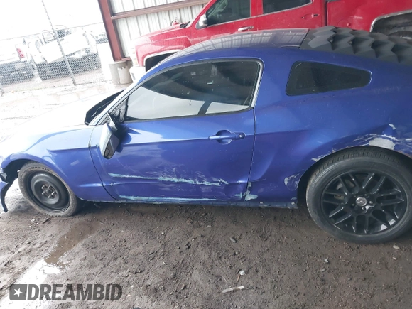 2013 Ford Mustang V6 with VIN 1ZVBP8AM2D5262273, listed as a IAAI auction lot 42411691 with 163,552 mi miles and . Bid and sale history available at DreamBid. Image 15.