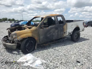 2013 Ford F-150 XL z VIN 1FTFX1ET9DKF28340, wystawiony jako Copart lot #56120035 z przebiegiem Nie podano mil oraz Nie do naprawy • Non repairable. Historia ofert i sprzedaży dostępna na DreamBid. Obrazek 1.